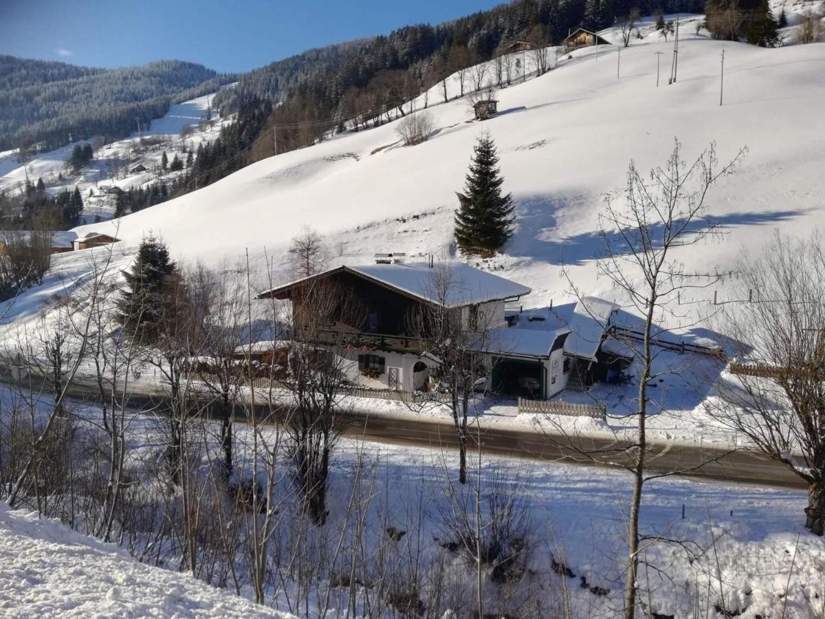 Apartment In Dienten With Mountain Views Dienten am Hochkoenig Exterior photo